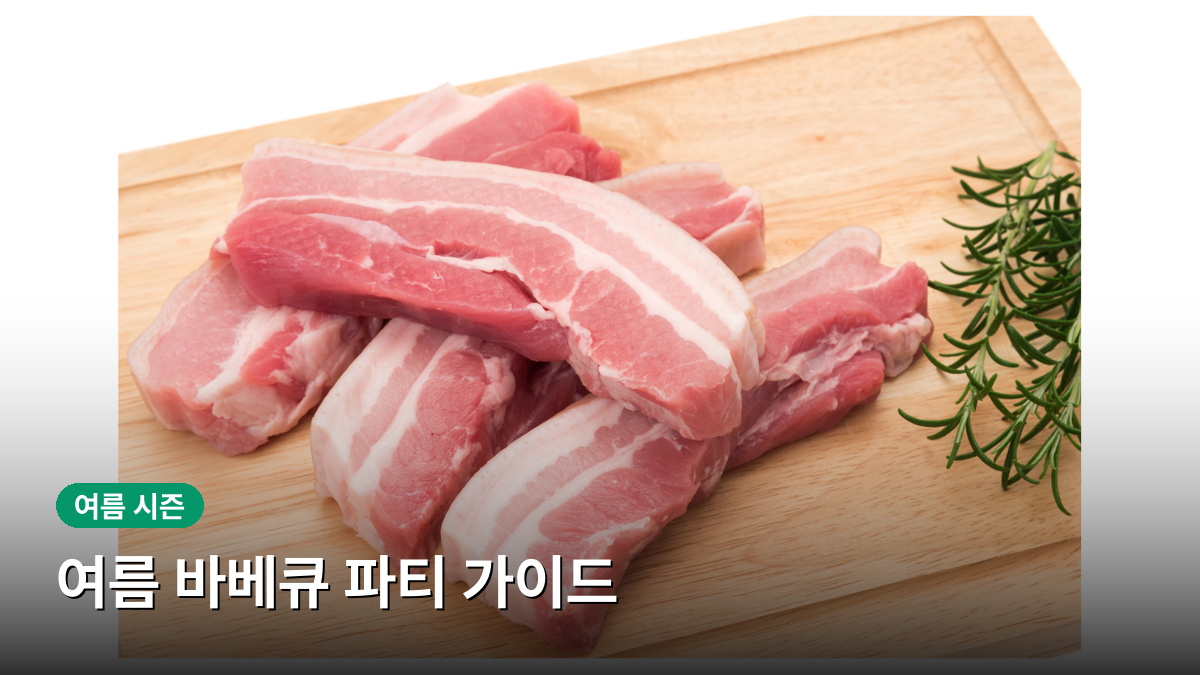 바베큐 파티 가이드