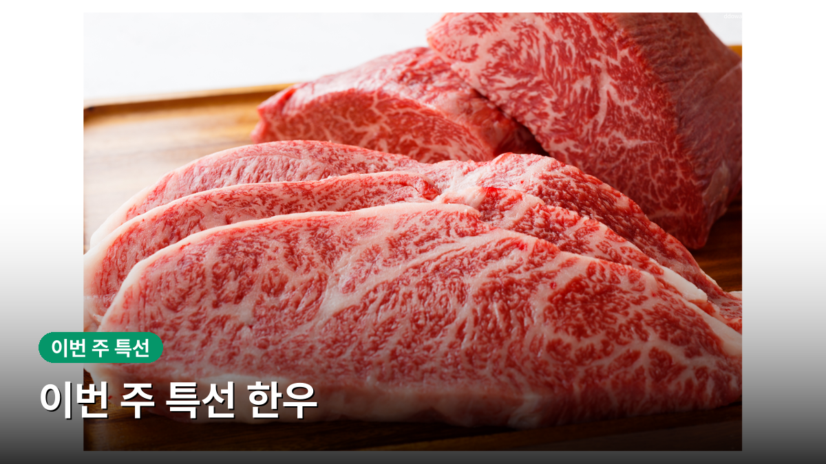 이번 주 특선 한우